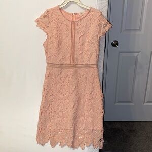 Main Strip Lace Dress